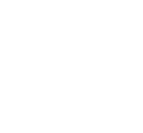Custom E-commerce Development Services