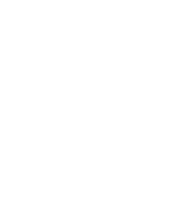 Wordpress Development Services